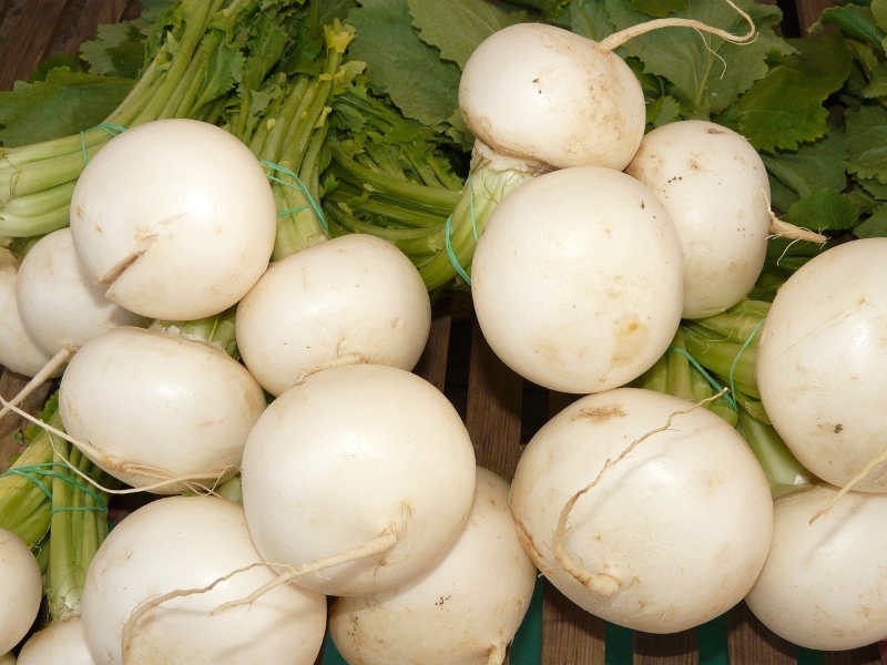 White Lady Turnip
