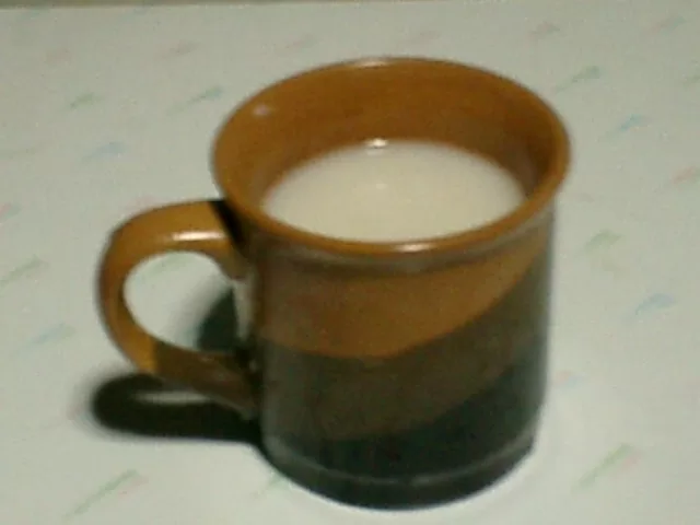 A cup of Amazake