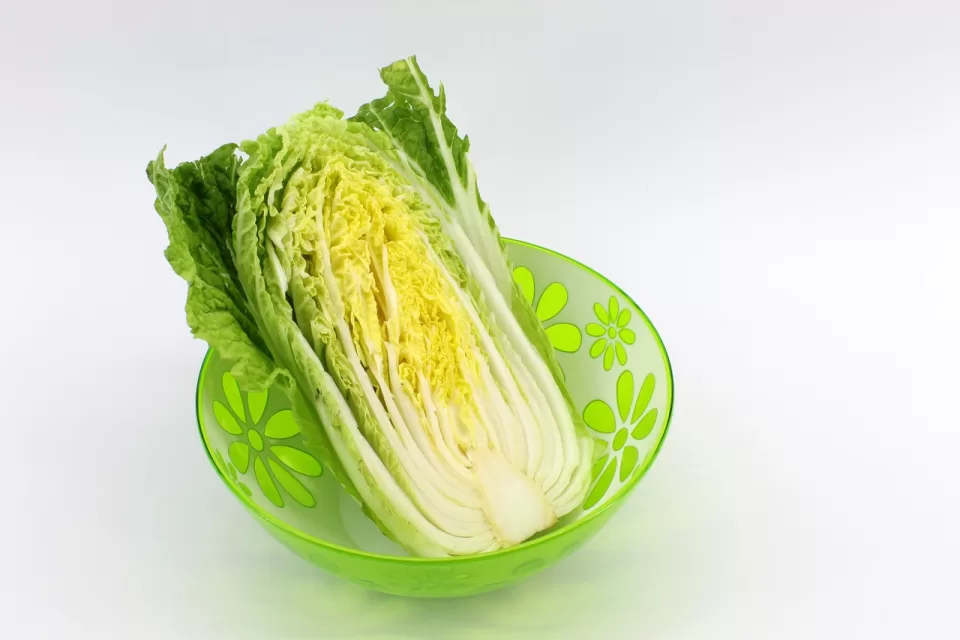 Chinese Cabbage